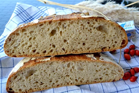 Mešan kruh s kislim testom
