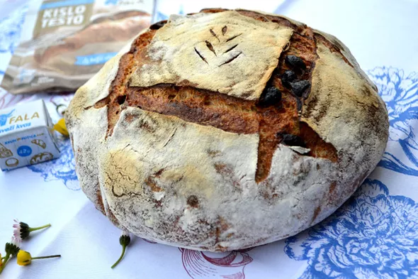 Pšenični pirin kruh s soncnicami in suhimi slivami_ Fala kislo testo 1