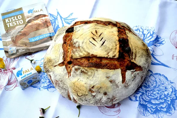 Pšenični pirin kruh s soncnicami in suhimi slivami_ Fala kislo testo 2