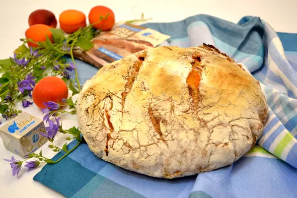 Pirin kruh z marelicami_Fala kislo testo 3